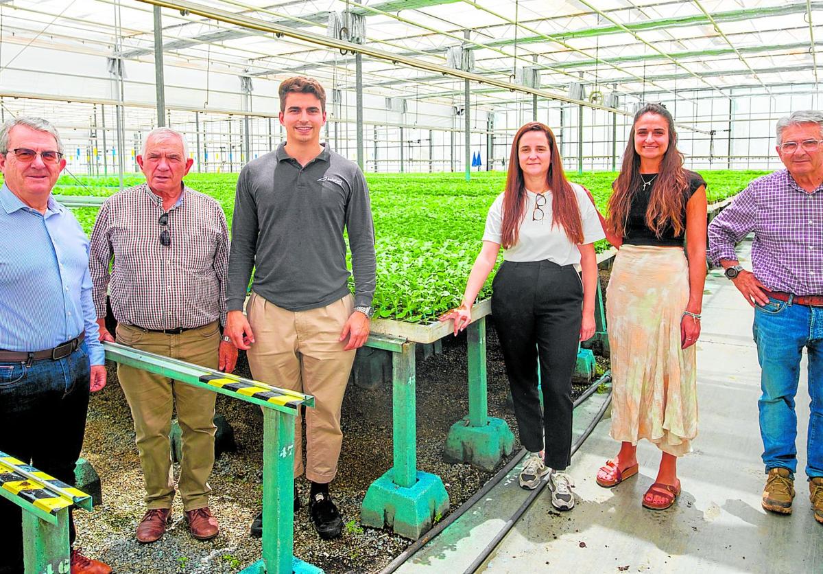 La empresa de granada que vende más de 150 millones de plantas cada año | ideal