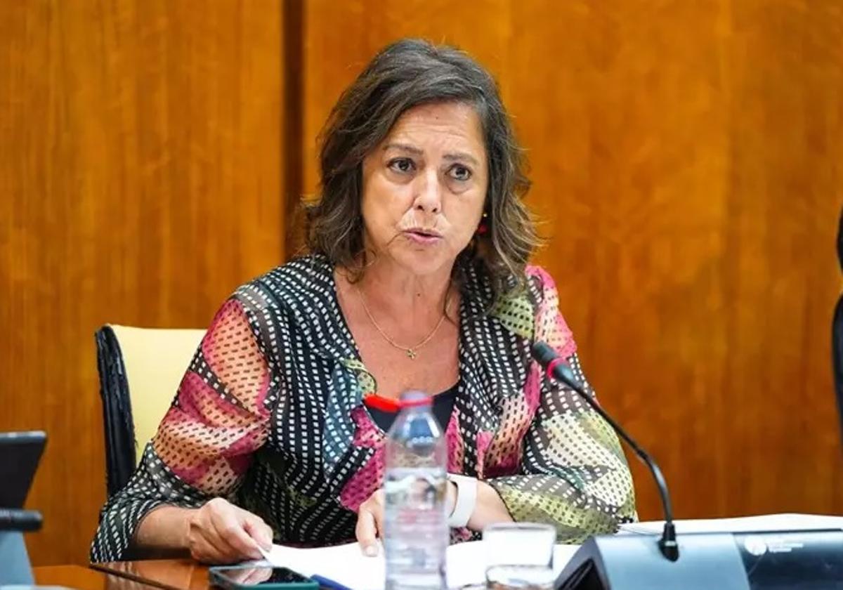La consejera de Sostenibilidad y Medio Ambiente de la Junta de Andalucía, Catalina García.
