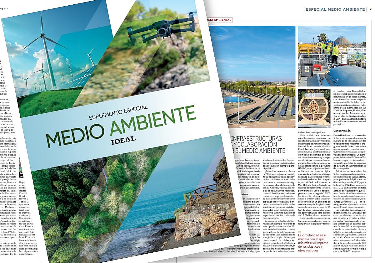 Detalle de la portada del suplemento sobre las páginas interiores.