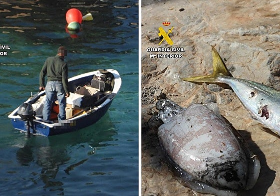 La Guardia Civil atrapa sorprende a dos pescadores furtivos en la Punta de la Mona.