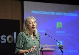La consejera de Salud y Consumo de la Junta de Andalucía, Rocío Hernández