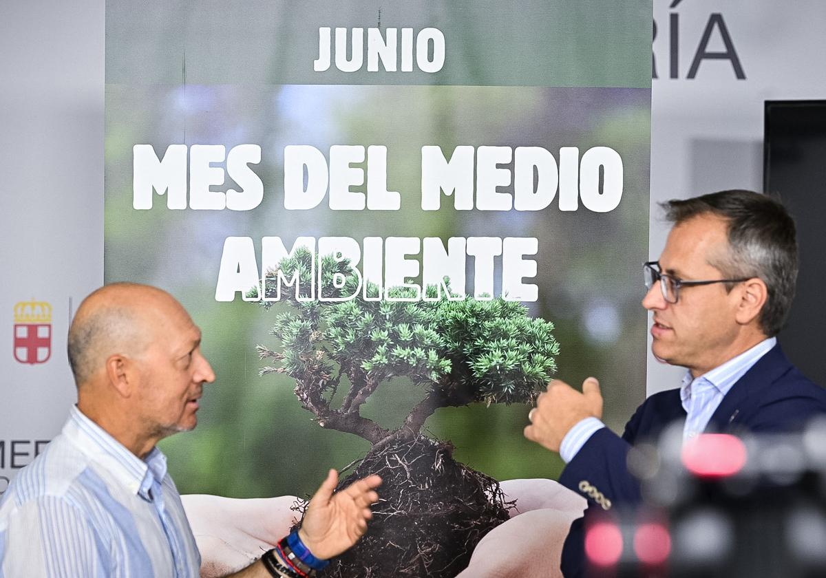 Se buscan aliados de la biodiversidad urbana para salvar vencejos