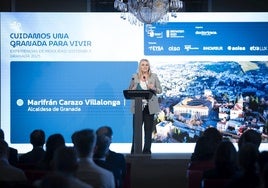 Granada, Málaga, Almería y Madrid comparten experiencias para avanzar en sostenibilidad