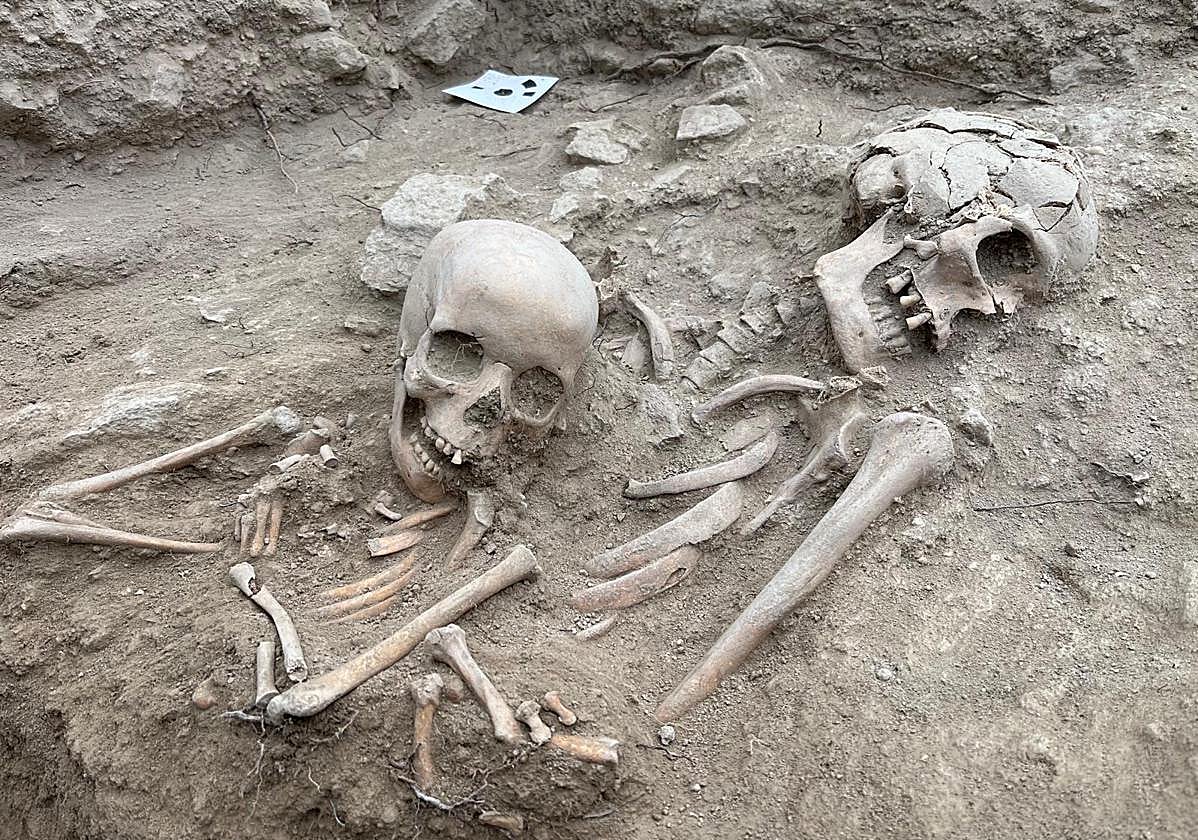 Disposición de los cuerpos, tal y como fueron localizados la pasada campana en Montefrío.