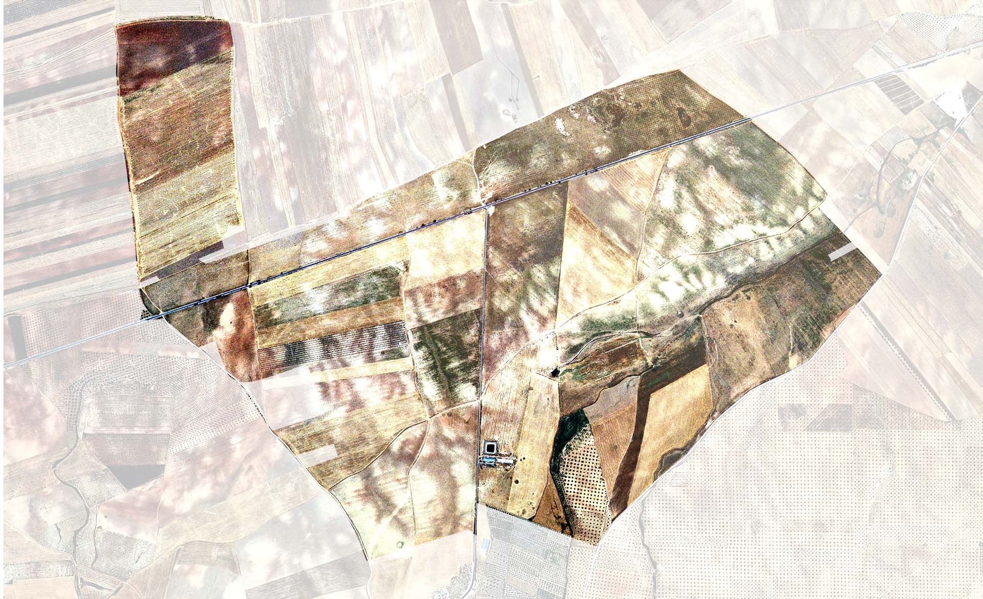 Scroll Story imagen 0