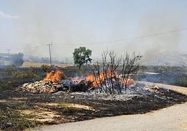 Incendio en el barranco de Jun.