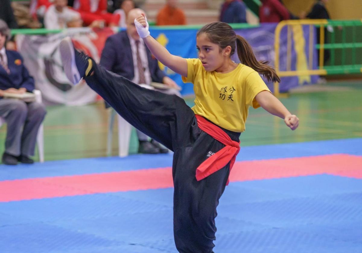 El kung fu de Andalucía se pone a prueba en Granada