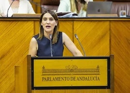 La diputada socialista Olga Manzano, en una foto de archivo en el Pleno del Parlamento.