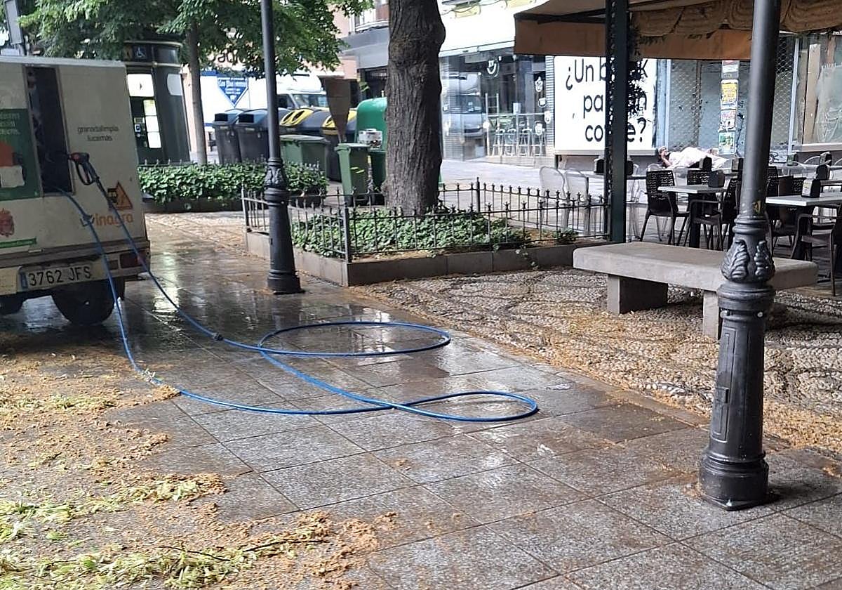 Labores de limpieza de Inagra este miércoles tras la madrugada de viento.