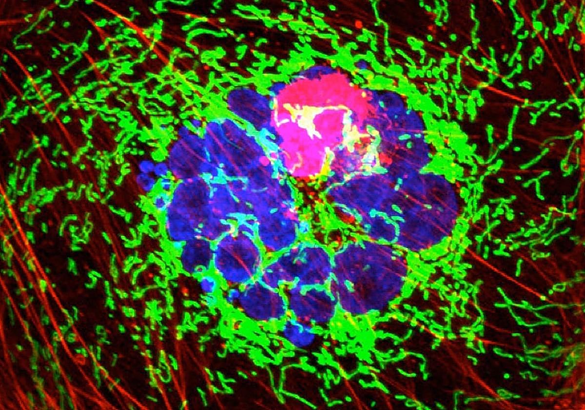 Kerma presenta su revolución silenciosa en la lucha contra el cáncer