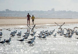 El pueblo andaluz con playa y el pulmón verde de Europa a sus pies que enamora a la revista Viajar