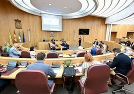 Pleno extraordinario de Diputación.