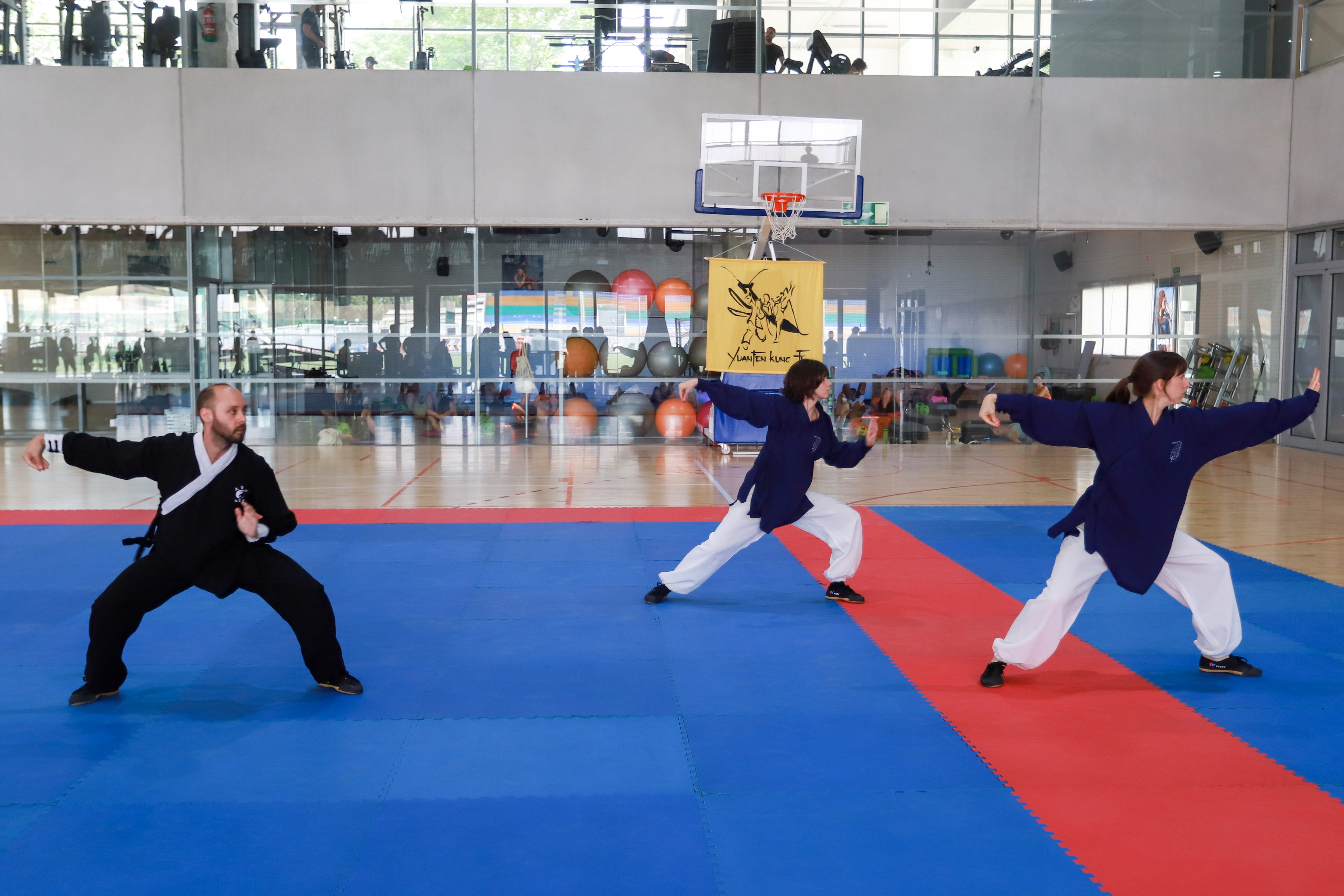Fiesta del kung-fu de Andalucía