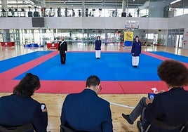 Fiesta del kung-fu de Andalucía