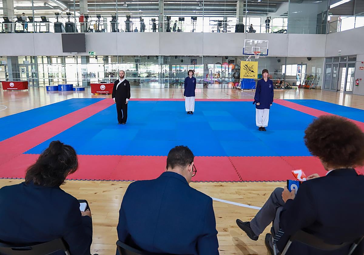 Fiesta del kung-fu de Andalucía