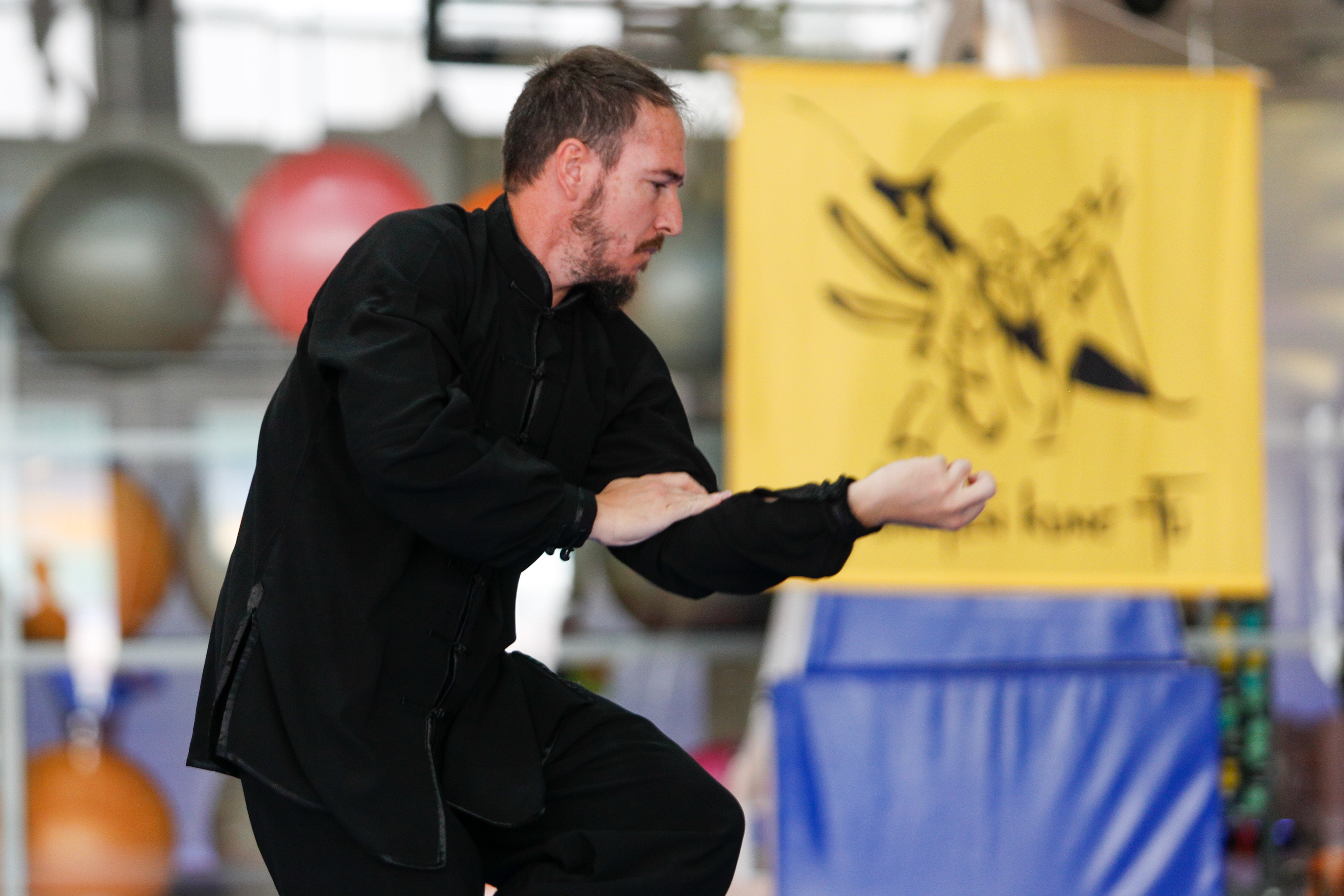 Fiesta del kung-fu de Andalucía