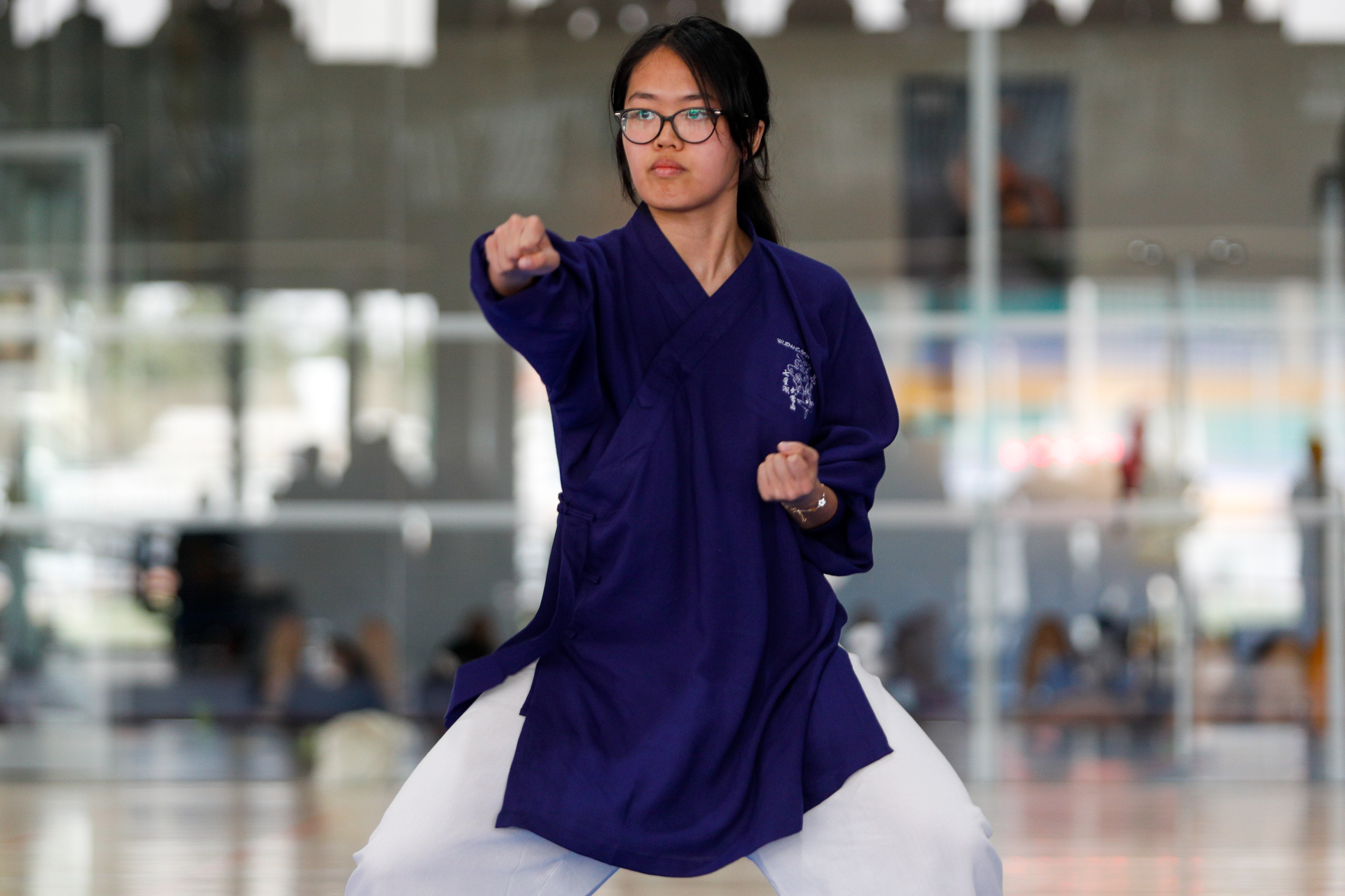 Fiesta del kung-fu de Andalucía