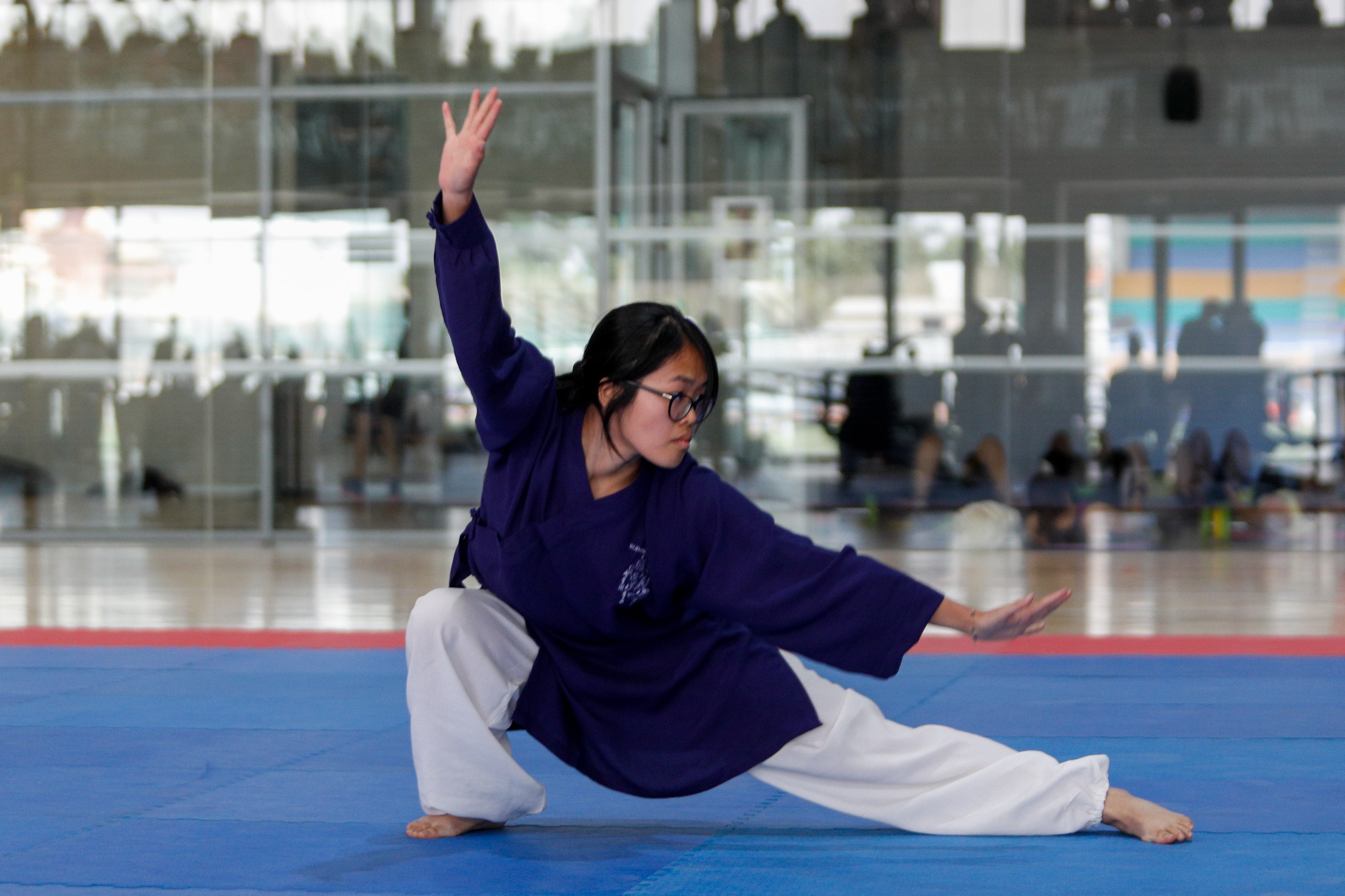Fiesta del kung-fu de Andalucía