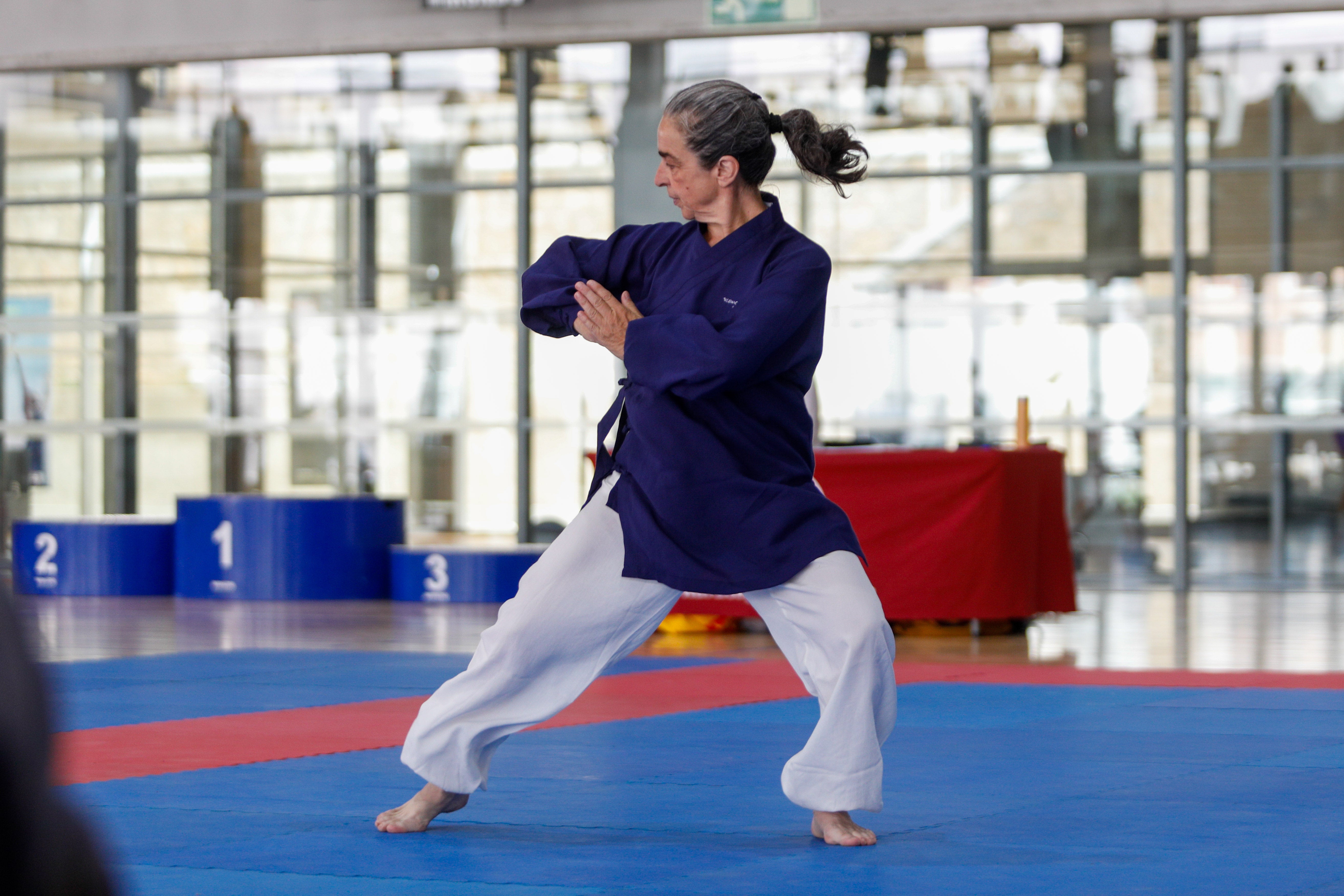 Fiesta del kung-fu de Andalucía