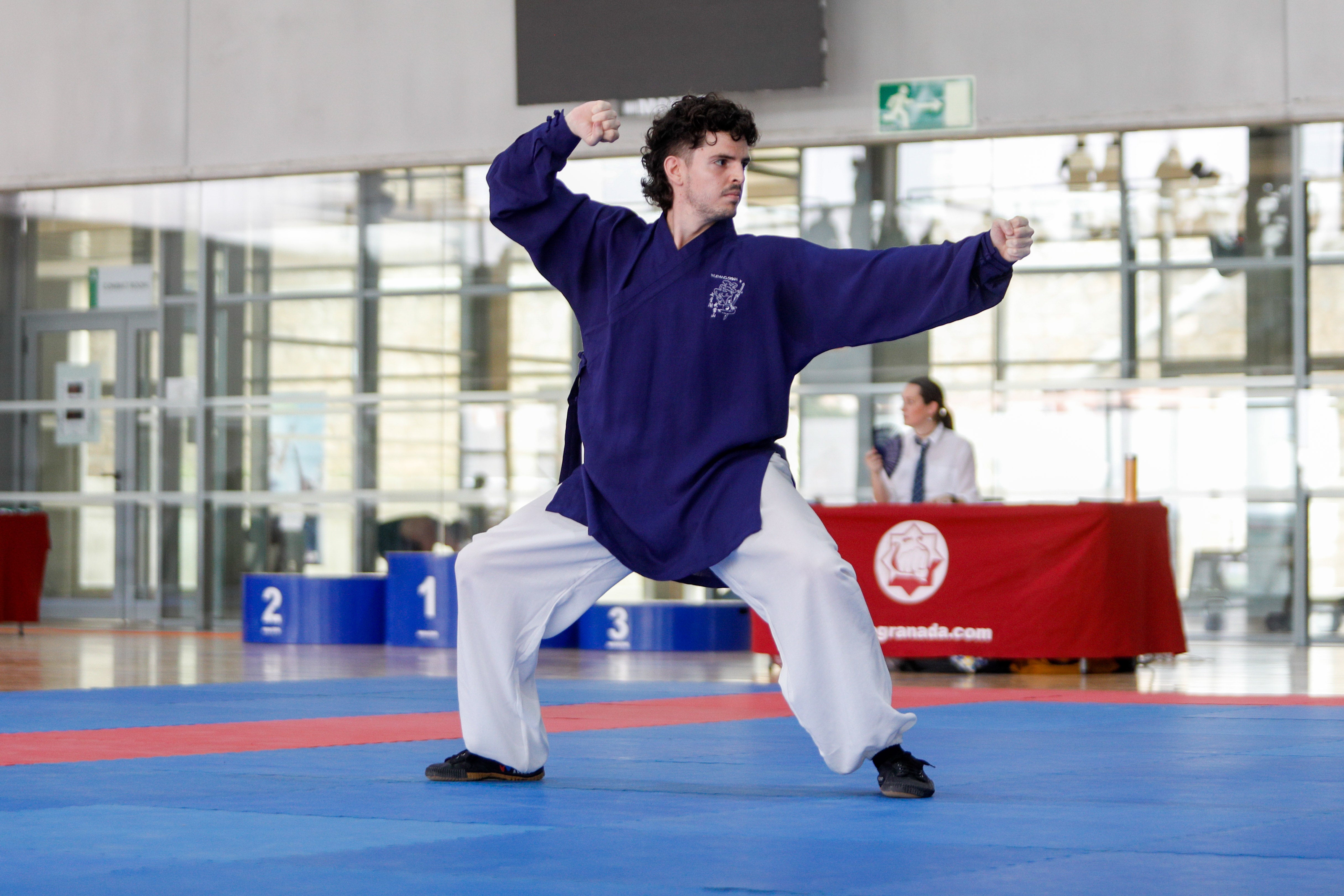 Fiesta del kung-fu de Andalucía