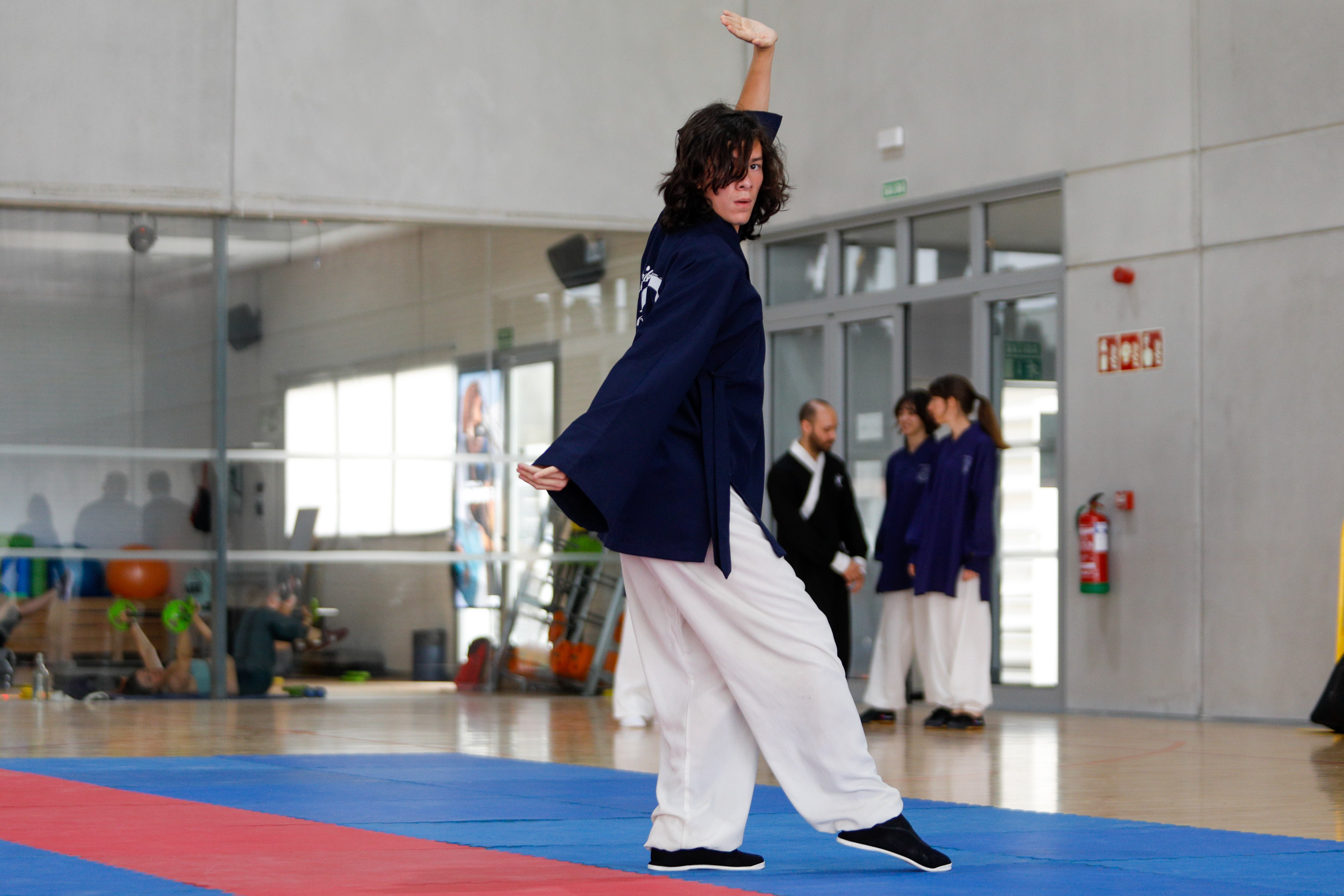 Fiesta del kung-fu de Andalucía
