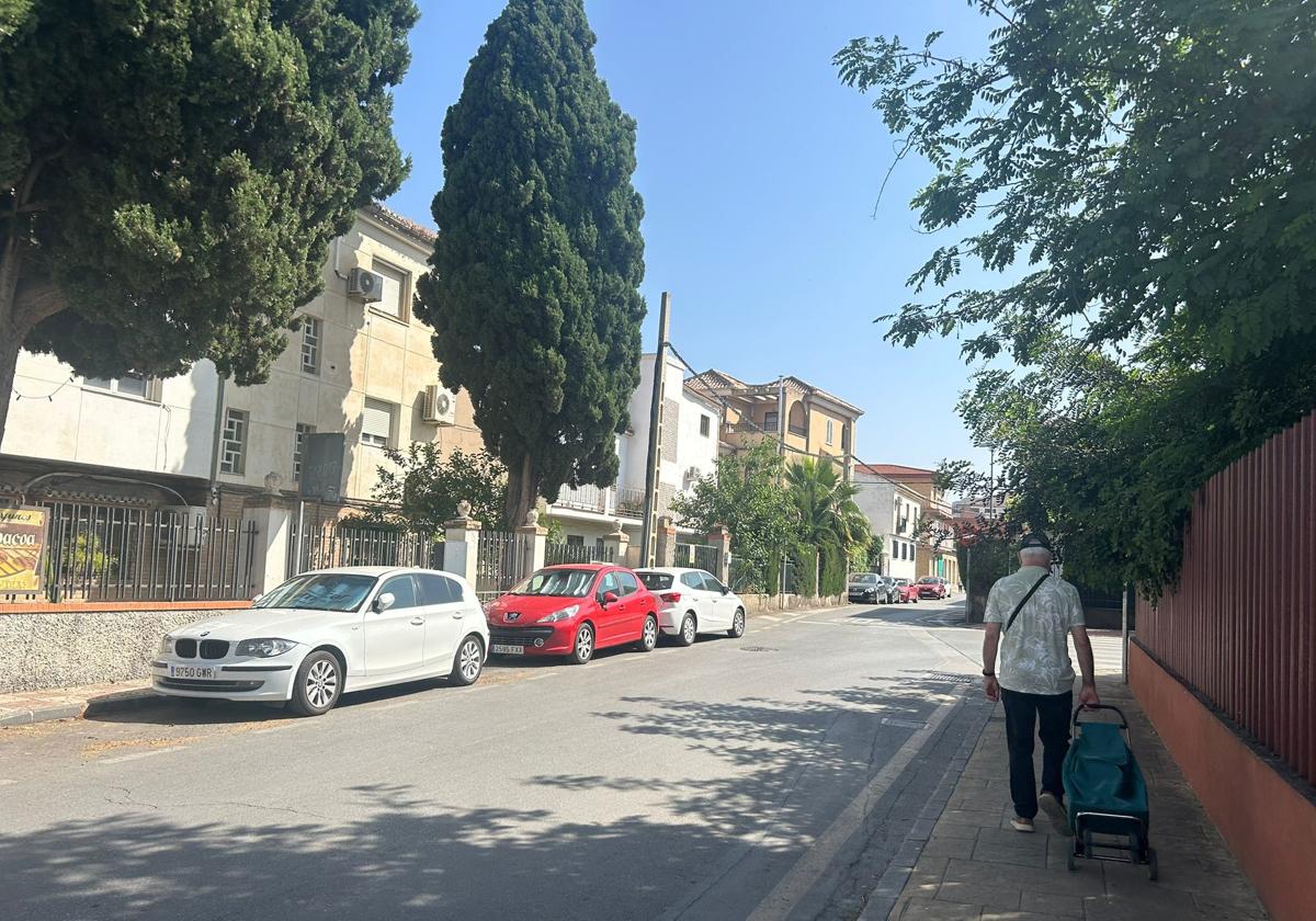 Avenida García Lorca, de donde proceden los ladridos