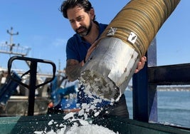 Enzo Rodríguez, gerente y propietario de Hielos Alborán, rodeados de sacos de uno de sus productor estrella, el hielo en escama