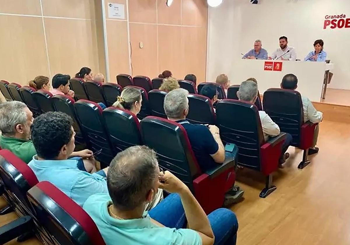 El secretario adjunto de Organización del PSOE-A, Alejandro Moyano