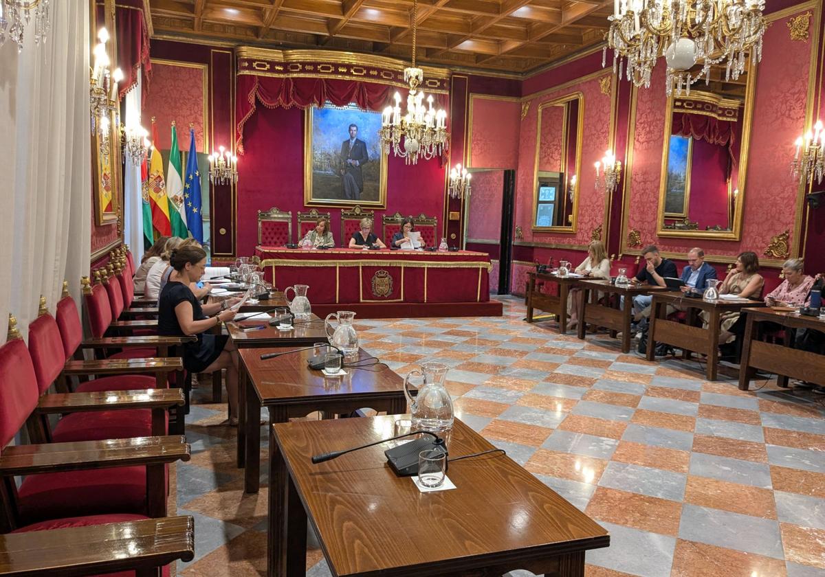 Comisión de Movilidad celebrada este martes.