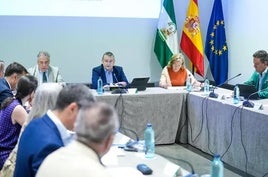 Antonio Sanz presidiendo en el Palacio de San Telmo, la reunión de constitución de la Comisión Interdepartamental Andaluza de Ayuda Humanitaria