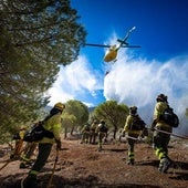 Más de 23.300 personas viven en zonas con riesgo de incendio forestal en Granada capital