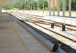 Vías del tren, en una imagen de archivo.