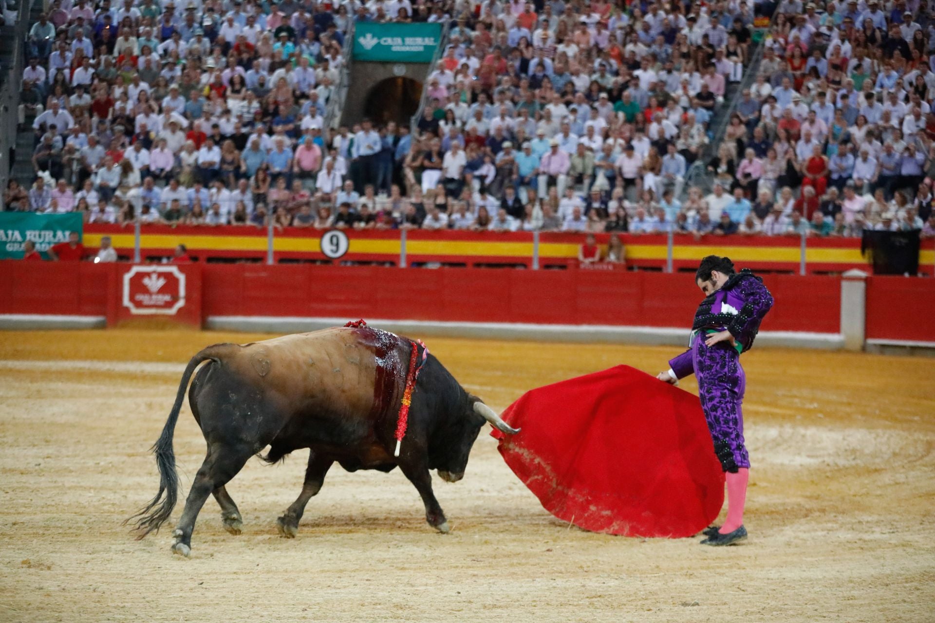 Las mejores imágenes del viernes de Corpus en la Plaza de Toros de Granada