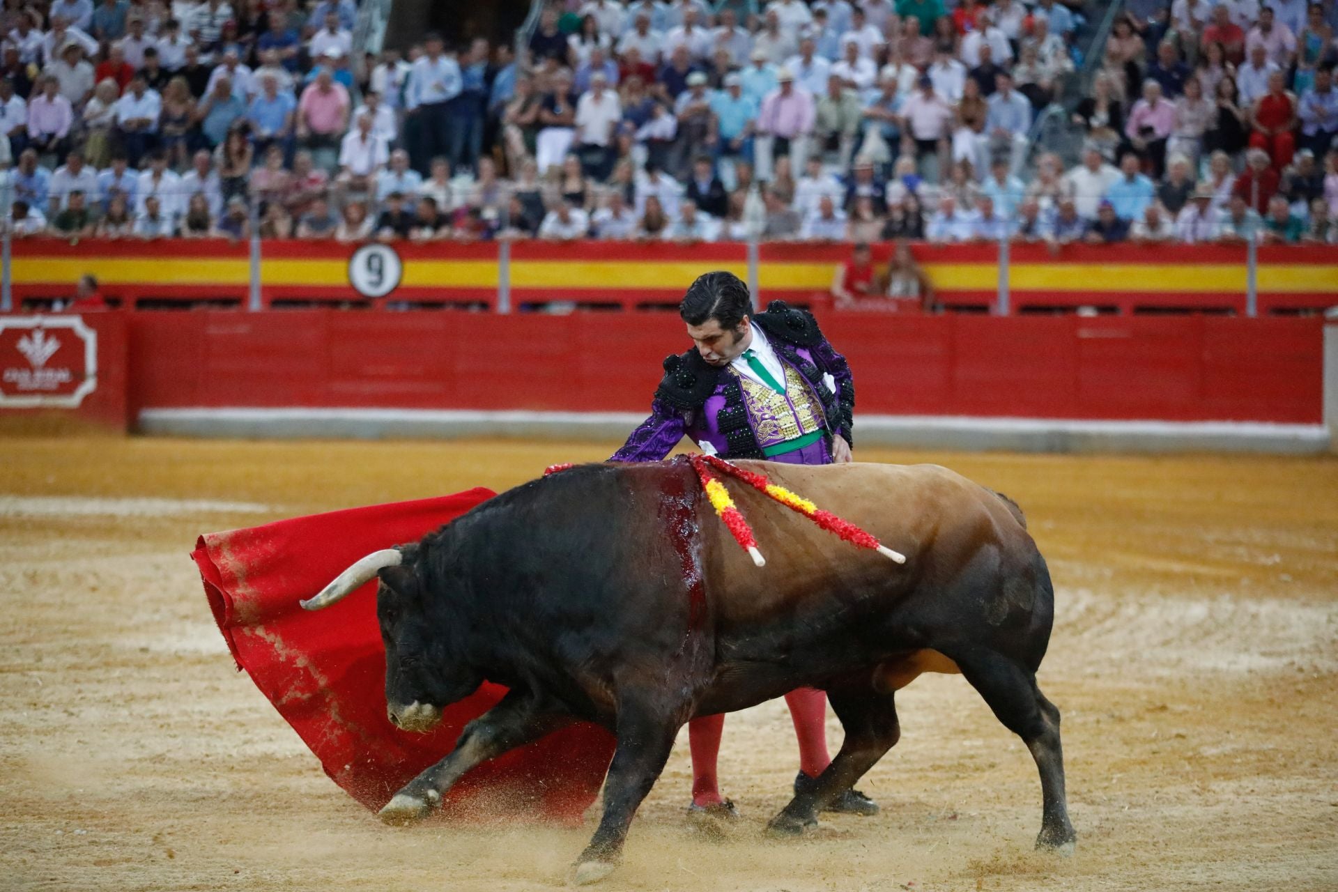 Las mejores imágenes del viernes de Corpus en la Plaza de Toros de Granada