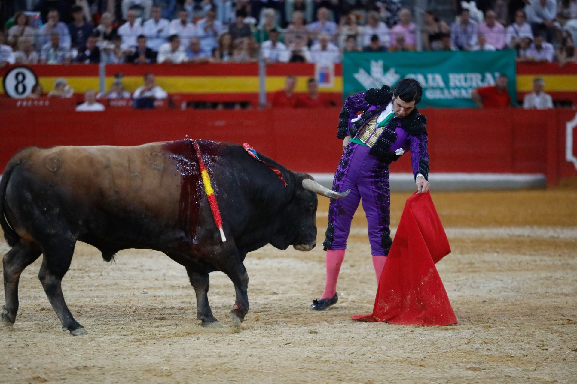 Las mejores imágenes del viernes de Corpus en la Plaza de Toros de Granada