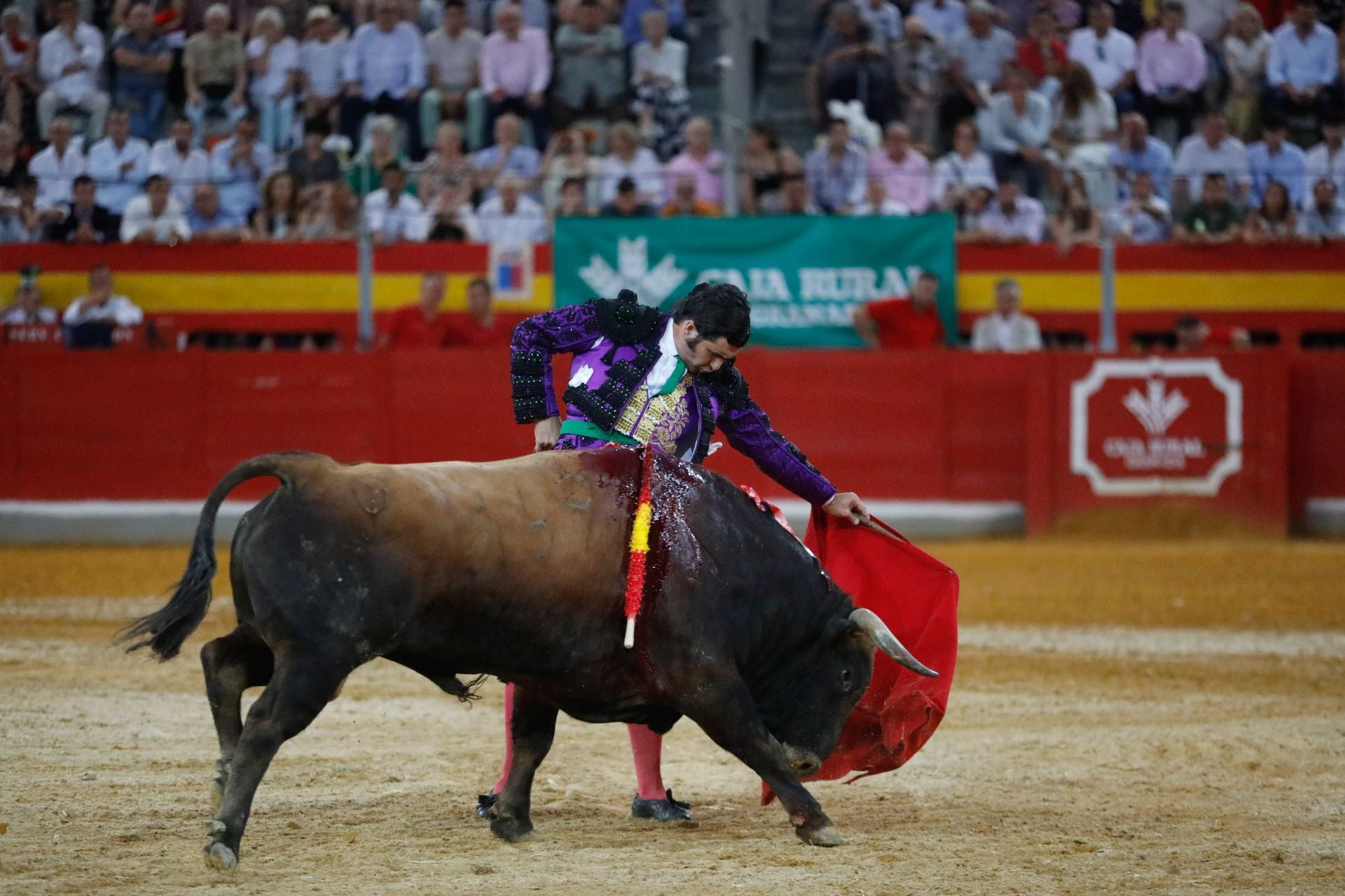 Las mejores imágenes del viernes de Corpus en la Plaza de Toros de Granada