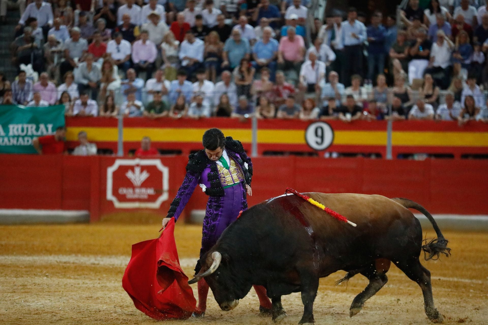 Las mejores imágenes del viernes de Corpus en la Plaza de Toros de Granada