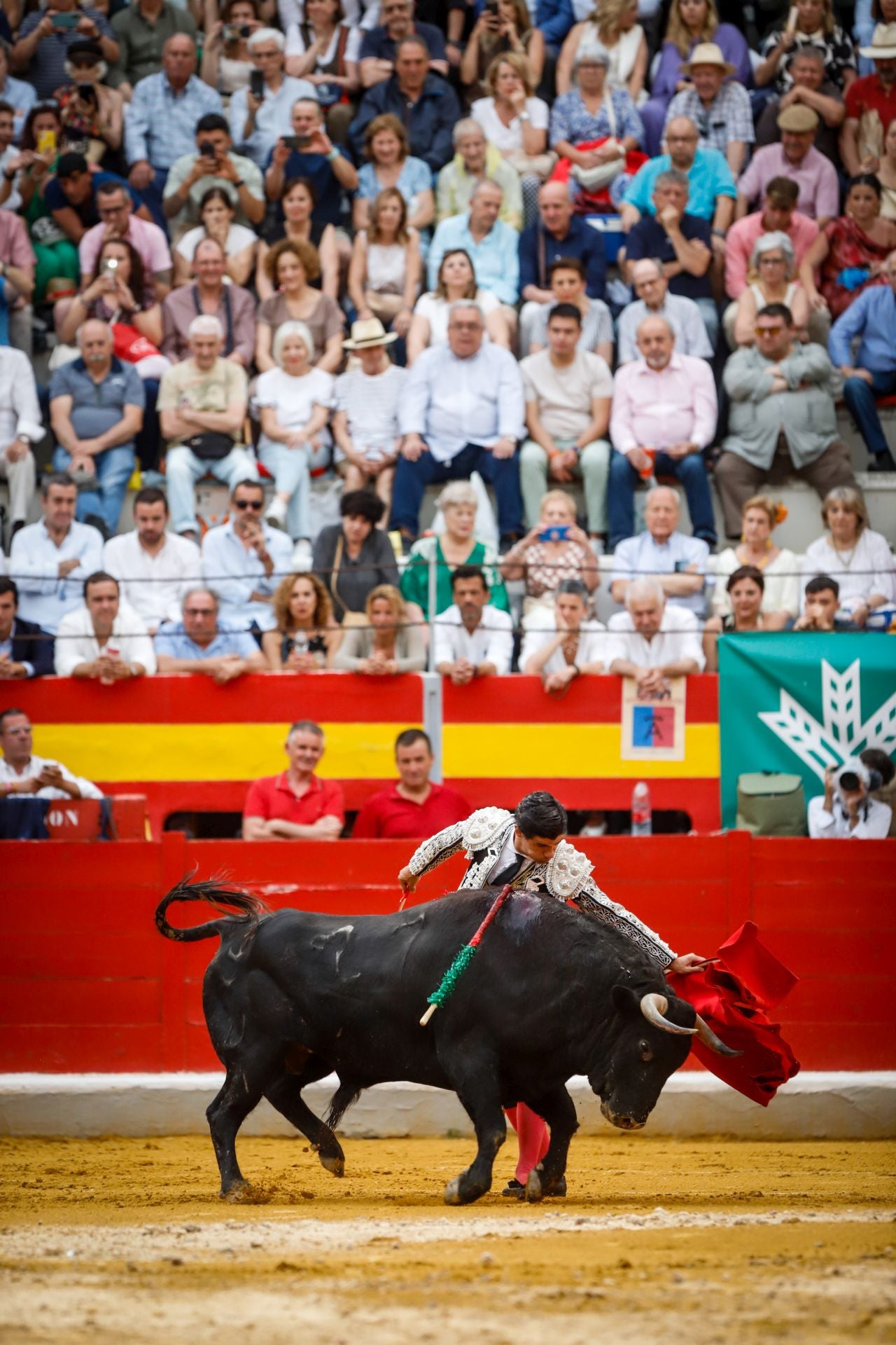 Las mejores imágenes del viernes de Corpus en la Plaza de Toros de Granada