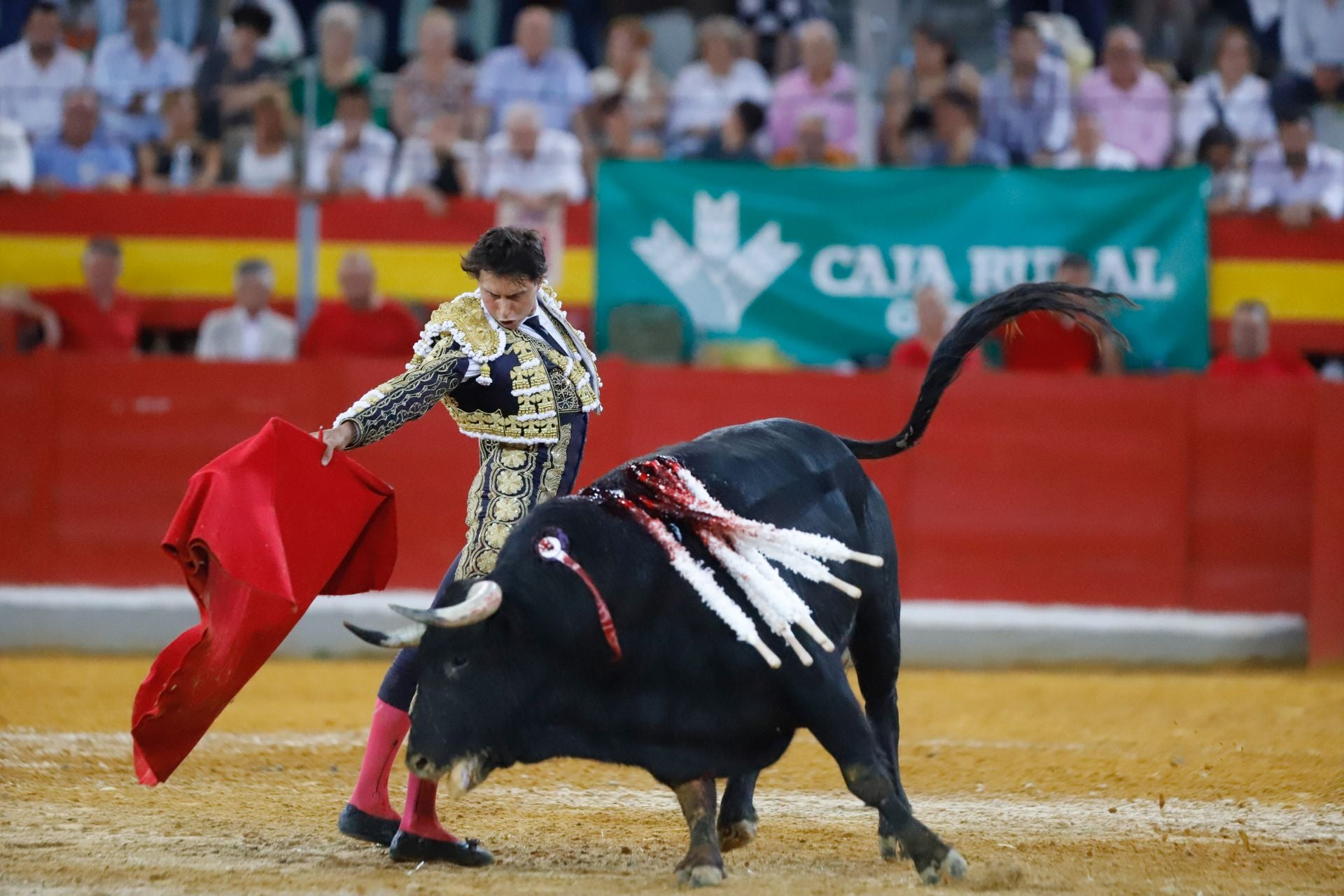 Las mejores imágenes del viernes de Corpus en la Plaza de Toros de Granada