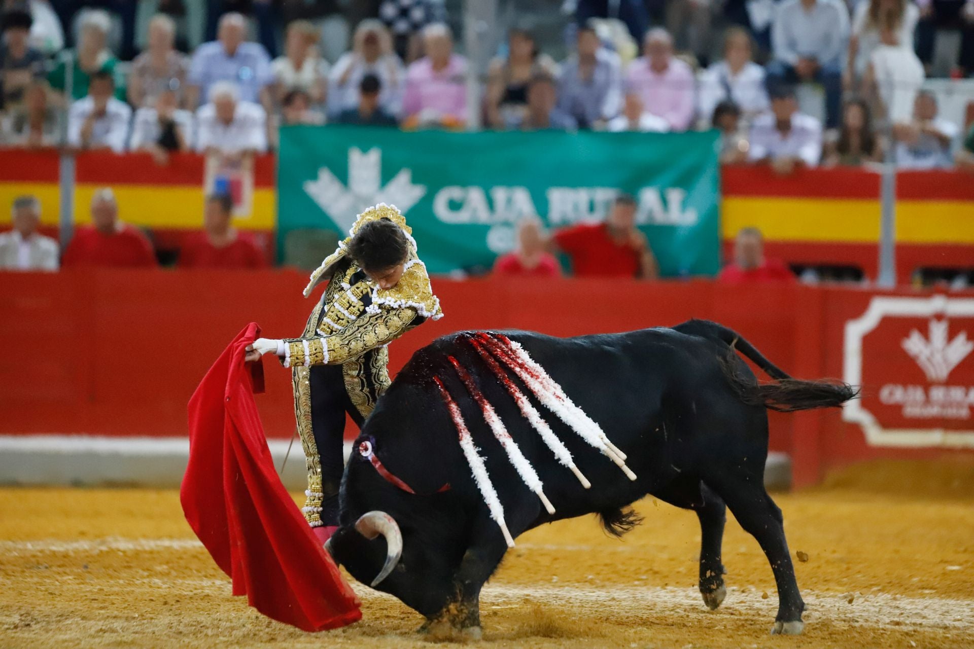 Las mejores imágenes del viernes de Corpus en la Plaza de Toros de Granada
