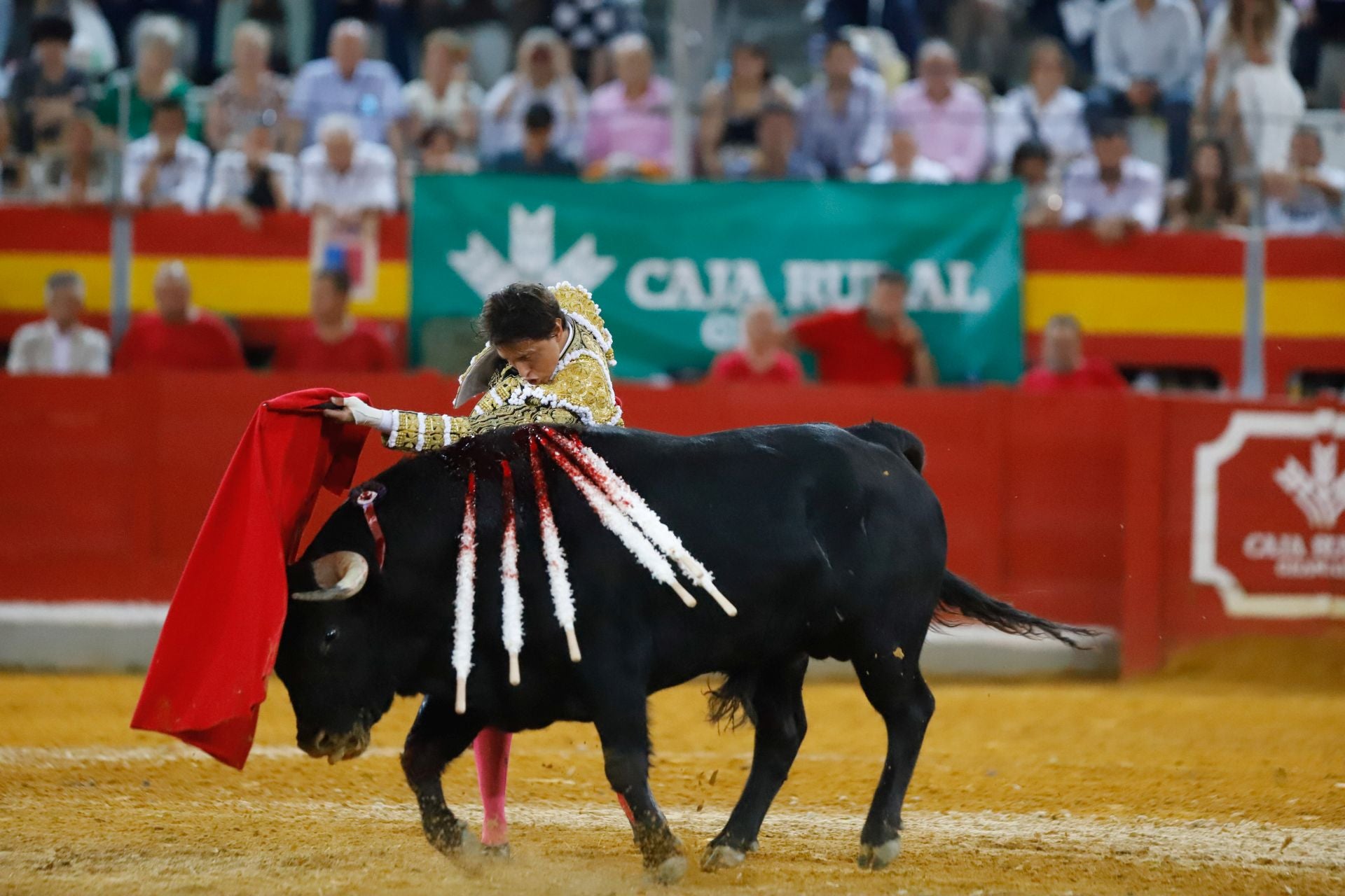Las mejores imágenes del viernes de Corpus en la Plaza de Toros de Granada