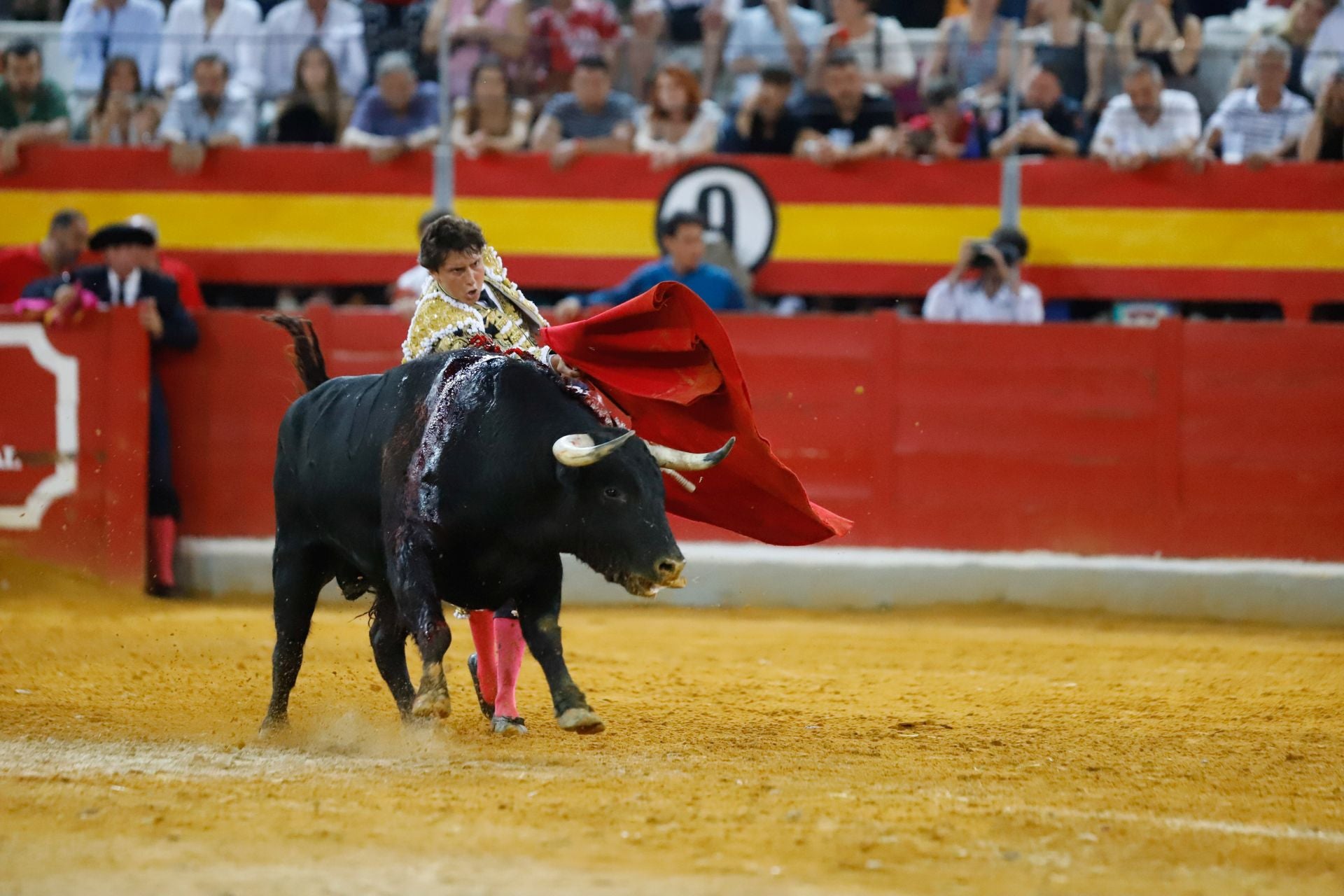 Las mejores imágenes del viernes de Corpus en la Plaza de Toros de Granada