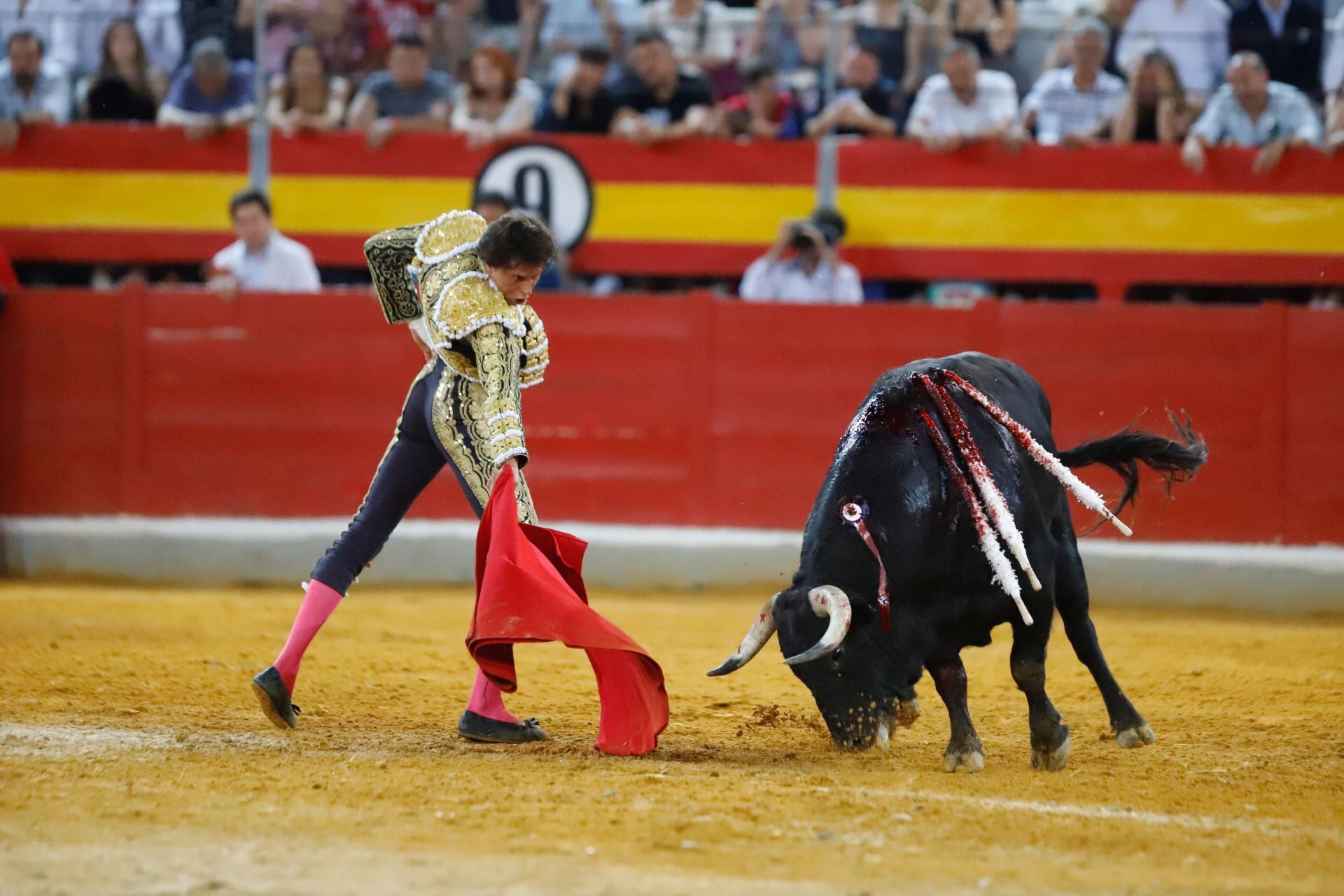 Las mejores imágenes del viernes de Corpus en la Plaza de Toros de Granada