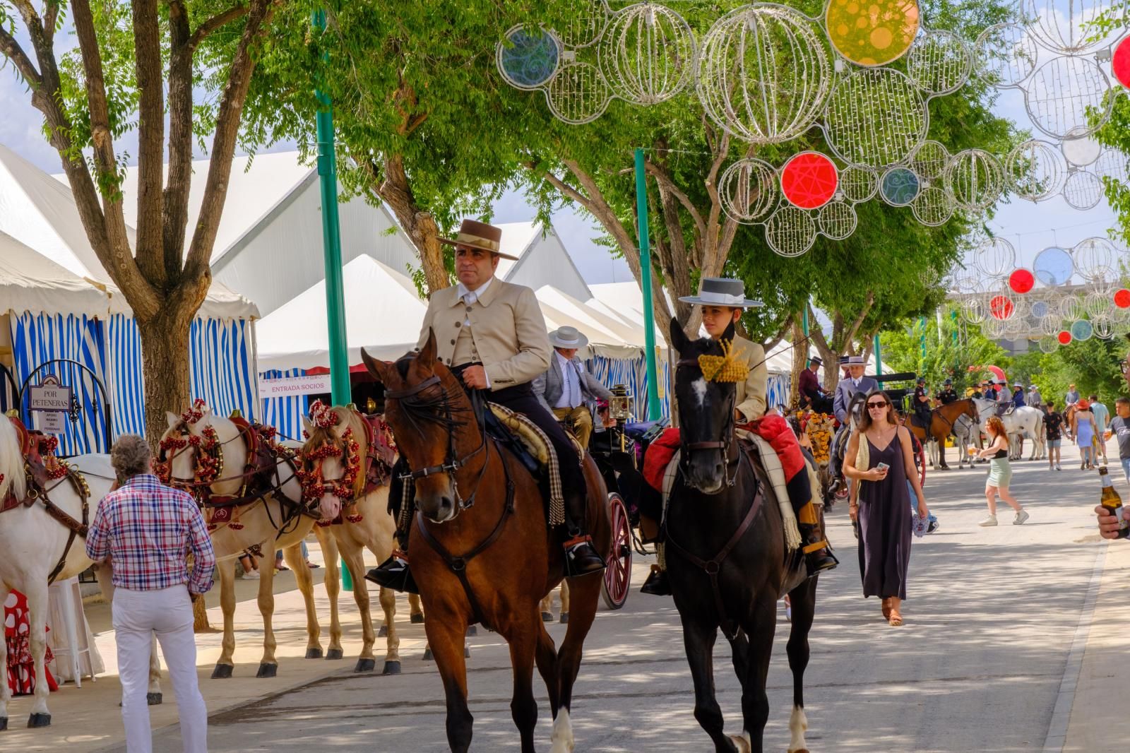 La exhibición de enganches en el ferial de Granada, en imágenes