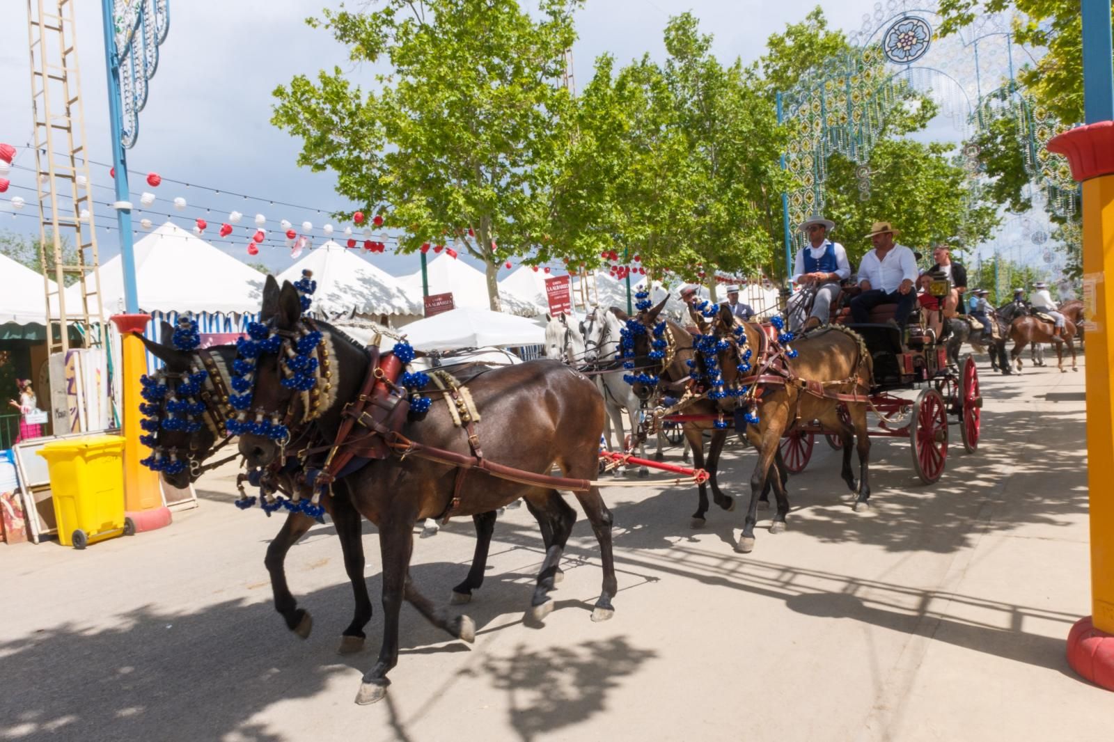 La exhibición de enganches en el ferial de Granada, en imágenes