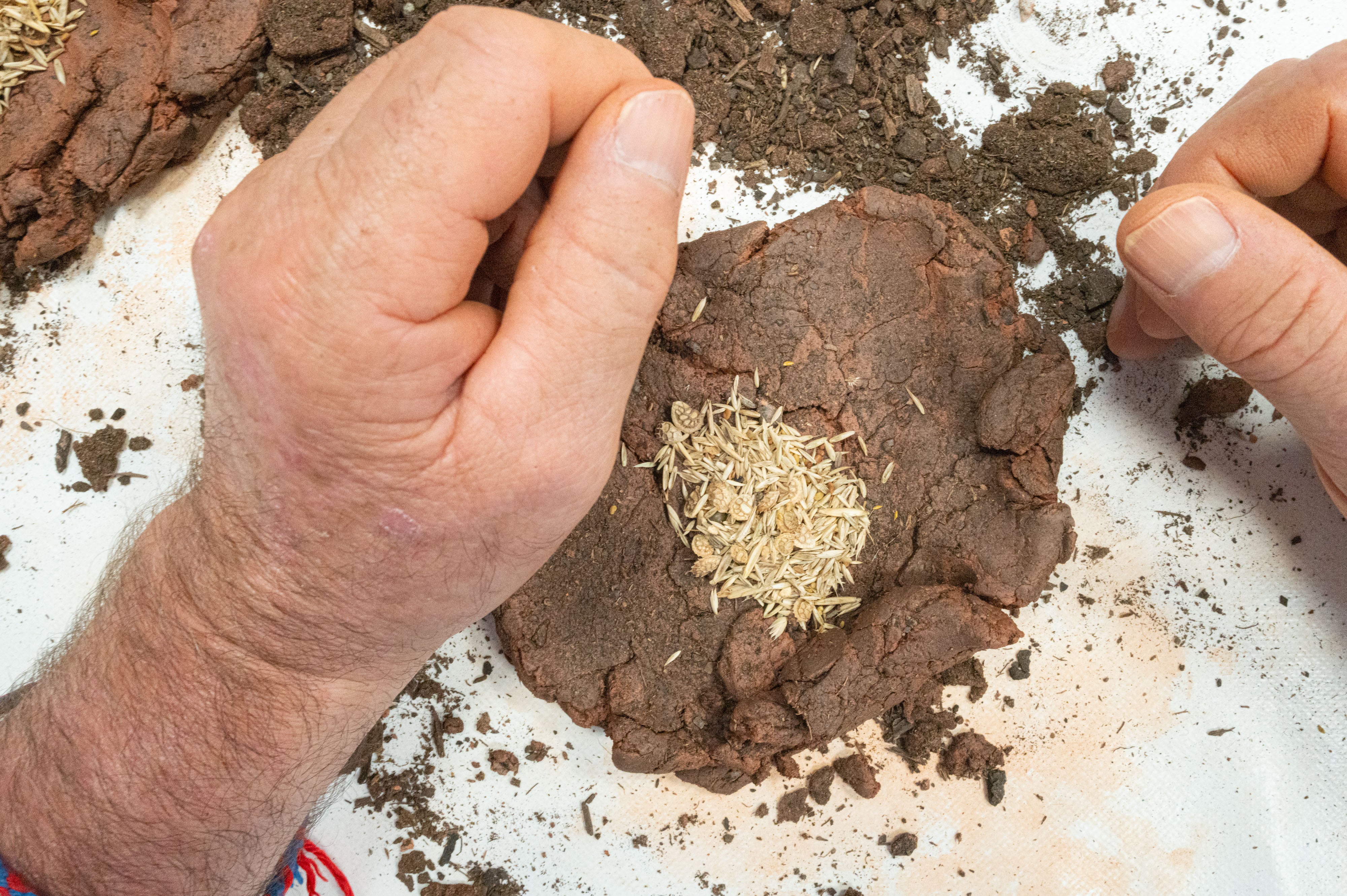 Dentro del centro de día ocupacional de discapacidad intelectual La Boronda