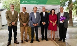 Foto de familia del acto de presentación de las nuevas páginas webs del Servicio Andaluz de Empleo y de Formación Profesional para el Empleo.