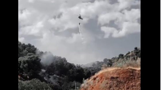 Incendio en el entrono del cementero de Granada.