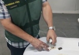 Un contenedor con 300 kilogramos de marihuana con trayecto EE.UU-Granada