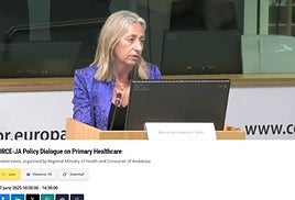 La consejera de Salud y Consumo, Rocío Hernández